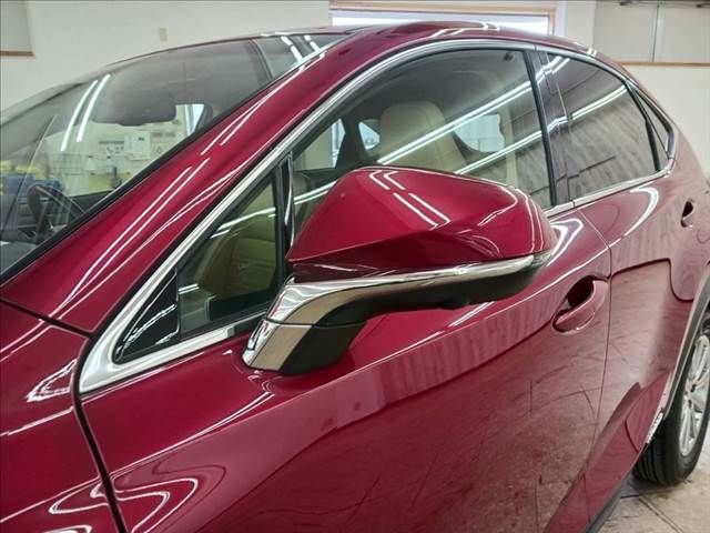 TOYOTA LEXUS NX300h 2015