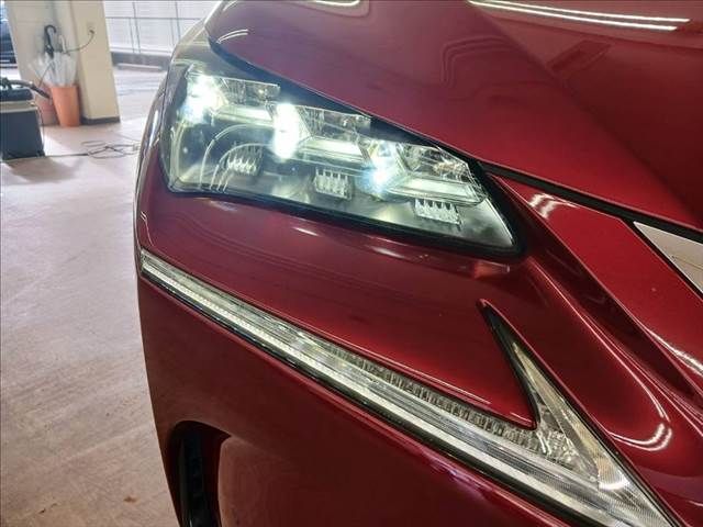 TOYOTA LEXUS NX300h 2015