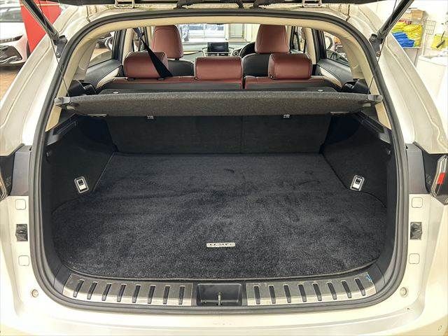 TOYOTA LEXUS NX300h 2015