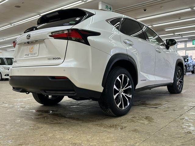 TOYOTA LEXUS NX300h 2015