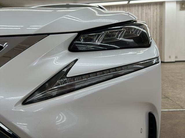 TOYOTA LEXUS NX300h 2015