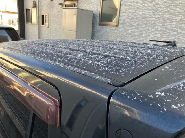 SUZUKI WAGON R STINGRAY 2009