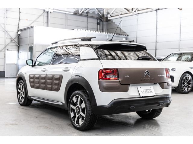 CITROEN CITROEN C4 CACTUS 2016