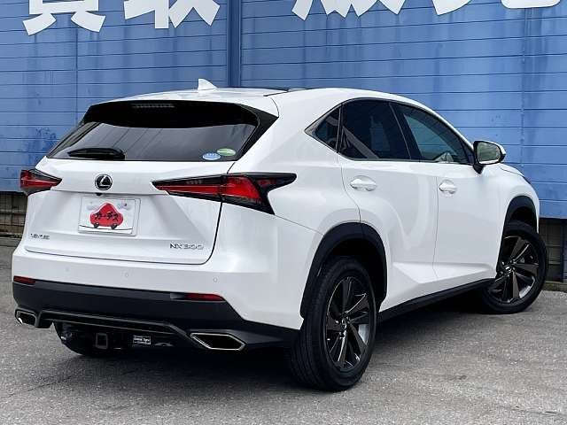 TOYOTA LEXUS NX300 2018