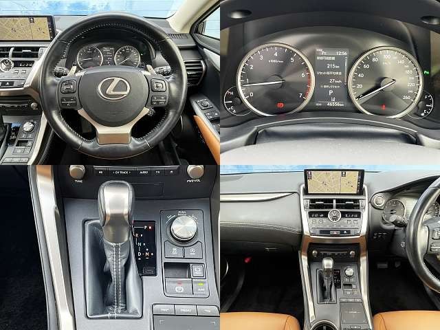 TOYOTA LEXUS NX300 2018