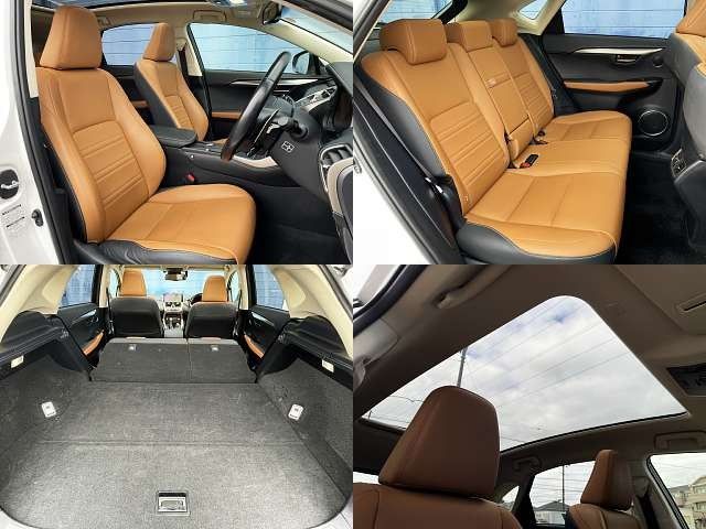 TOYOTA LEXUS NX300 2018