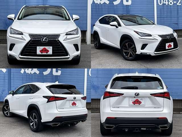 TOYOTA LEXUS NX300 2018