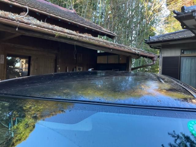 SUZUKI WAGON R STINGRAY 2010