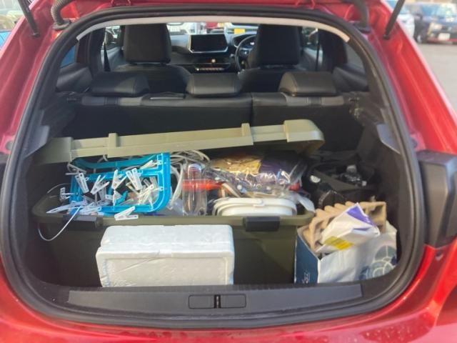 PEUGEOT PEUGEOT 208 2021