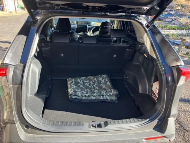 TOYOTA RAV4 4WD 2019