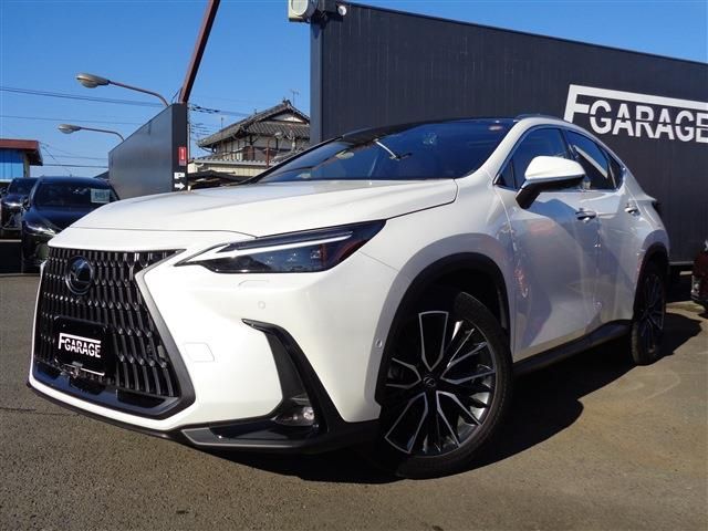 TOYOTA LEXUS NX350h 2023