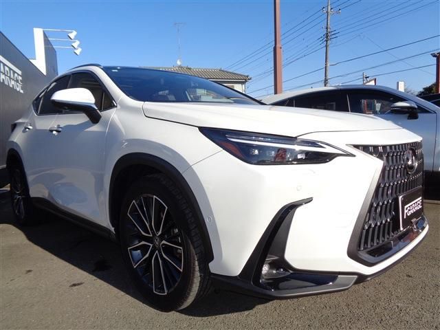 TOYOTA LEXUS NX350h 2023