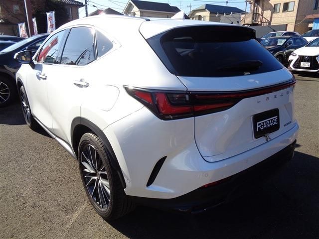 TOYOTA LEXUS NX350h 2023