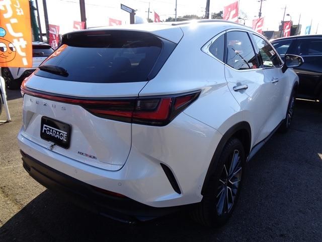 TOYOTA LEXUS NX350h 2023