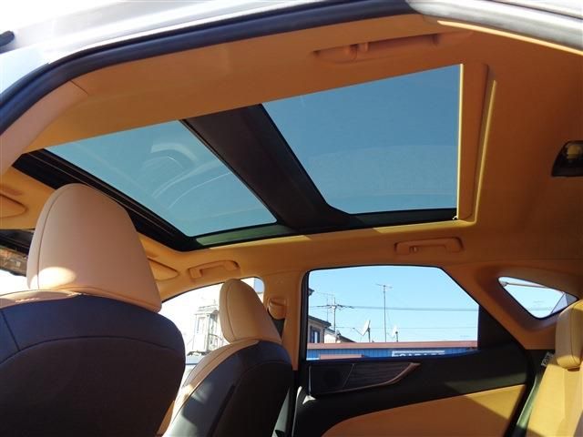 TOYOTA LEXUS NX350h 2023