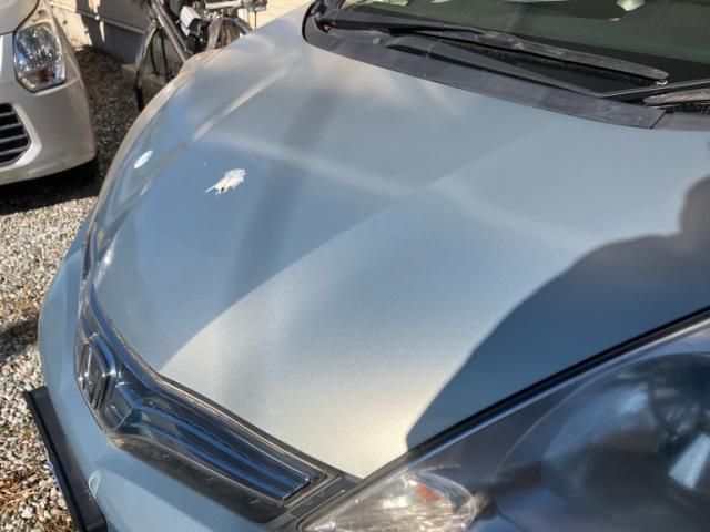 HONDA FIT SHUTTLE HYBRID 2011