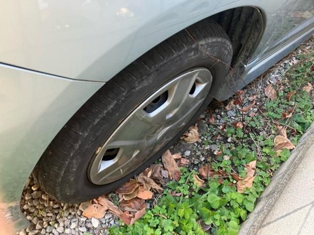 HONDA FIT SHUTTLE HYBRID 2011