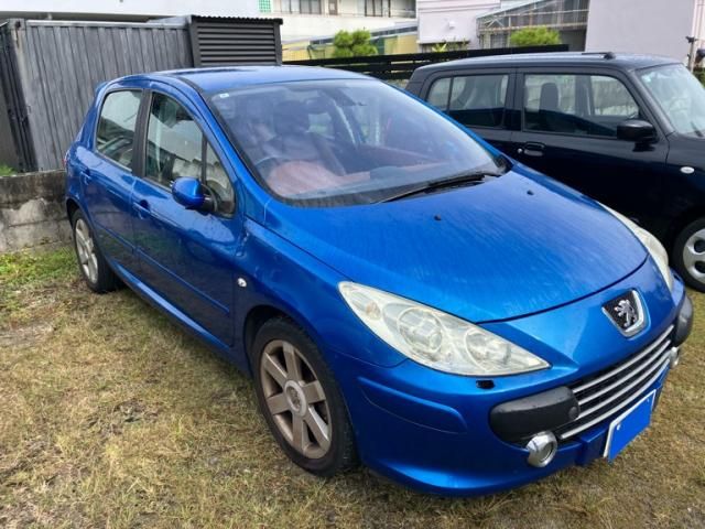 PEUGEOT PEUGEOT 307 FELINE 2005