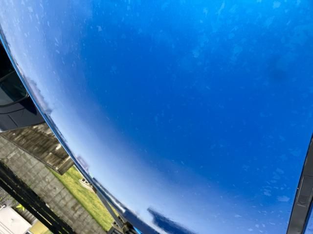 PEUGEOT PEUGEOT 307 FELINE 2005