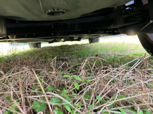 PEUGEOT PEUGEOT 307 FELINE 2005