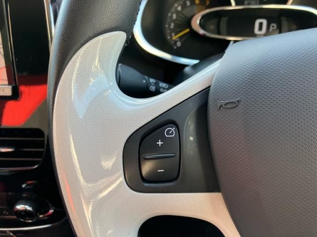 RENAULT RENAULT LUTECIA 2014