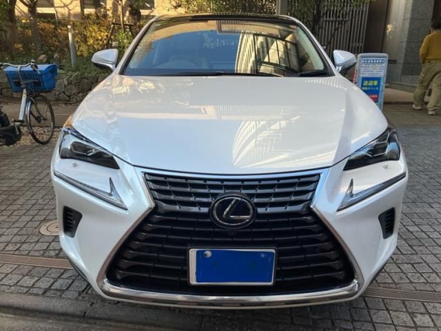TOYOTA LEXUS NX300h 2020