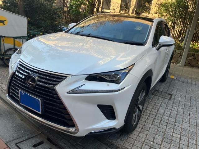 TOYOTA LEXUS NX300h 2020