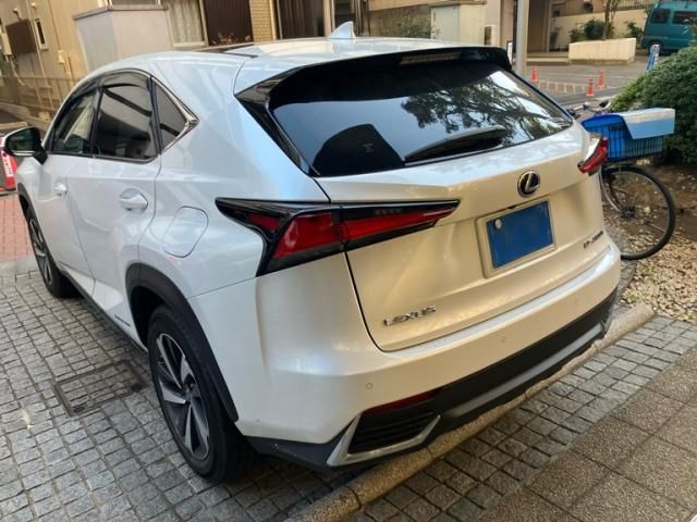 TOYOTA LEXUS NX300h 2020