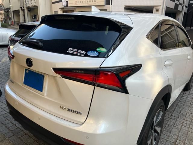 TOYOTA LEXUS NX300h 2020