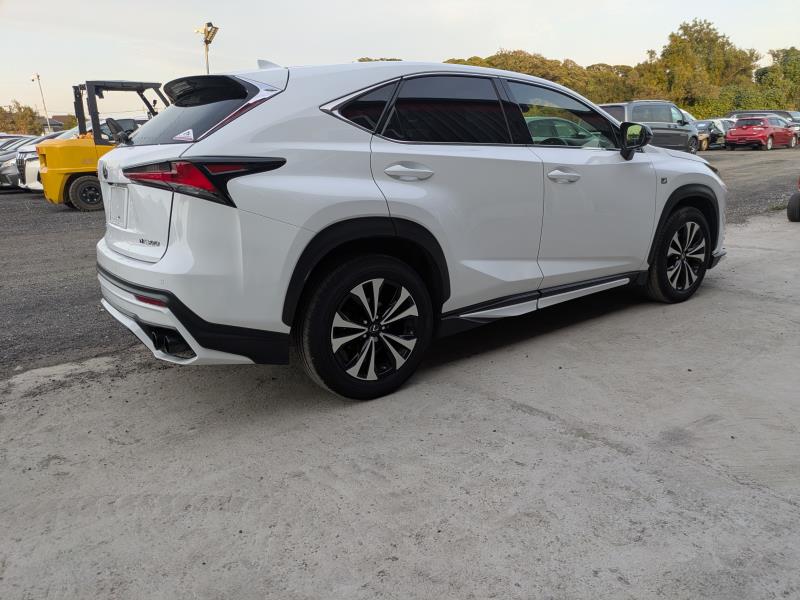 LEXUS NX 2020/8