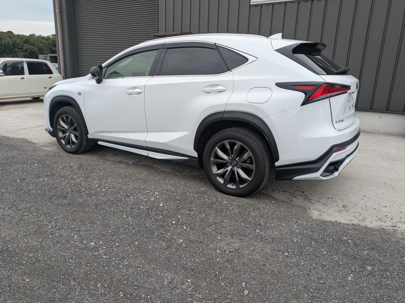 LEXUS NX 2020/5