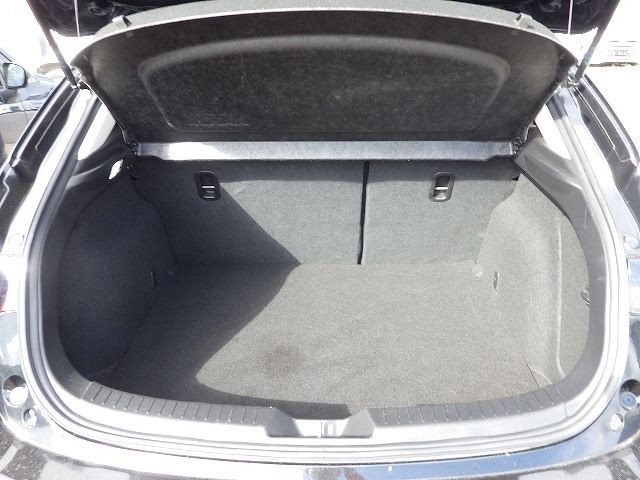 MAZDA AXELA SPORT 2019/4