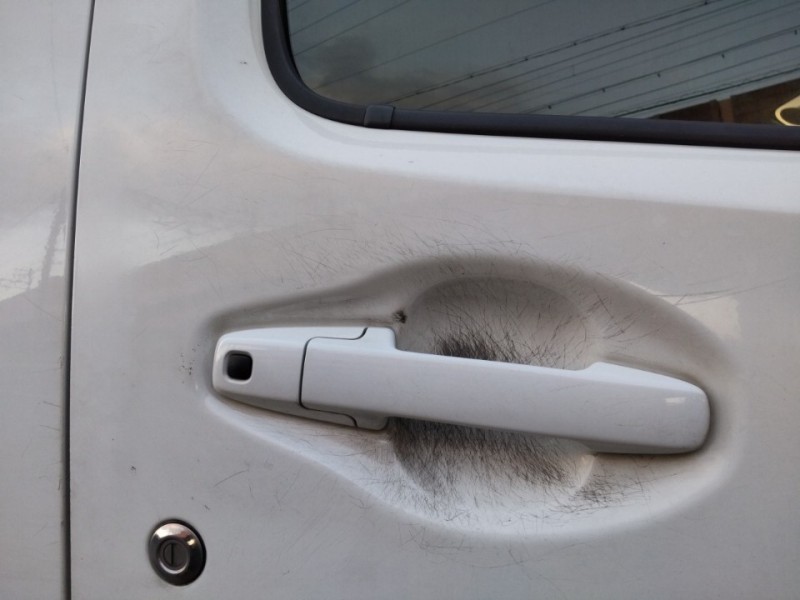 SUZUKI WAGON R 2020/11