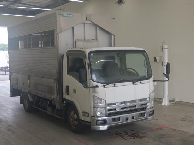 ISUZU ELF 2008/11