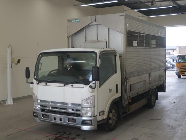 ISUZU ELF 2008/11