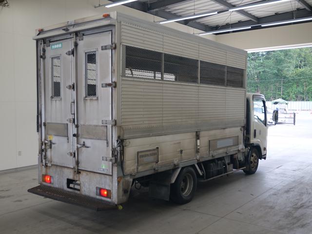 ISUZU ELF 2008/11
