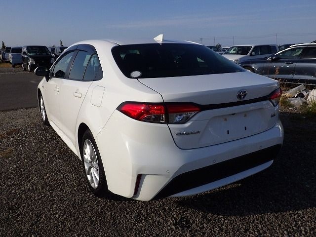TOYOTA COROLLA 2019/10