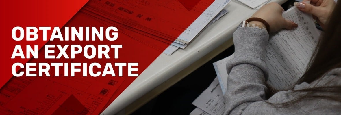 Cutaway view of an employee sorting through papers.