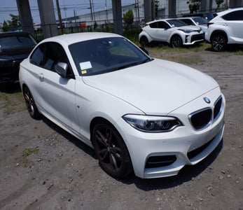 BMW 2 SERIES 2018/6